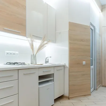 Economy Apartment On Krehivska 7 Near Forum Lviv Apartment