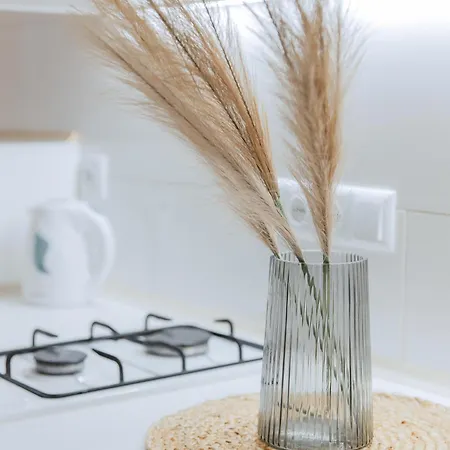 Apartment Economy Apartment On Krehivska 7 Near Forum Lviv Lemberg