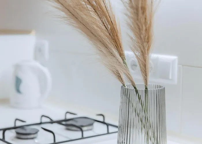 公寓 Economy On Krehivska 7 Near Forum 利沃夫