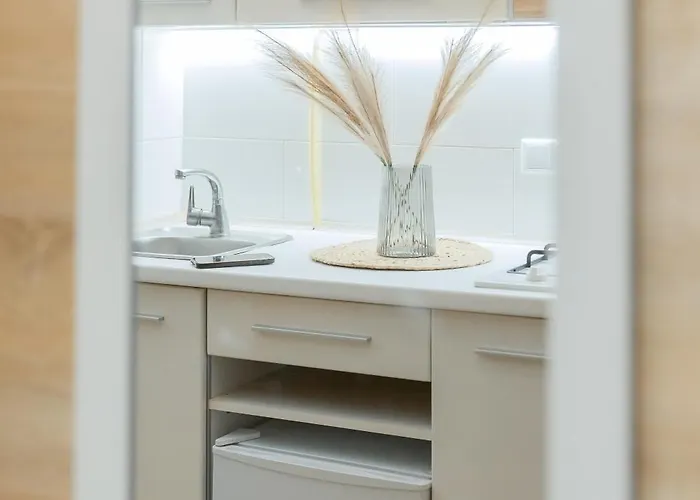 Apartment Economy Apartment On Krehivska 7 Near Forum Lviv