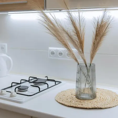 Economy On Krehivska 7 Near Forum Апартаменти *